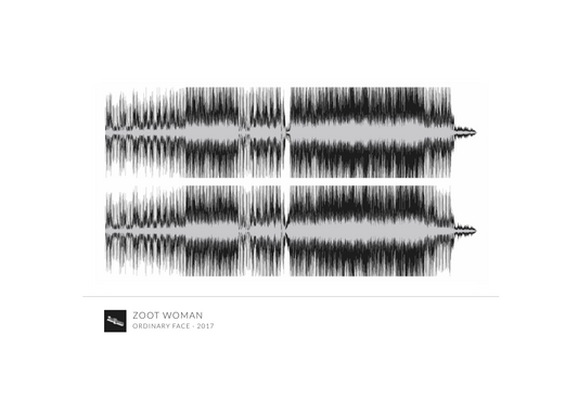 'Ordinary Face' Framed Waveform Artwork (WHITE FRAME)